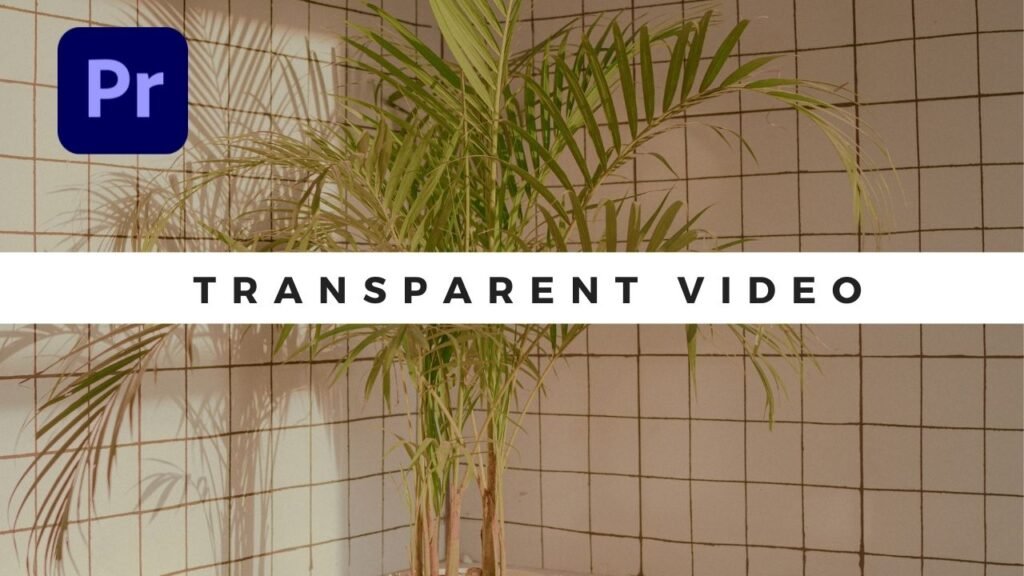 Transparant video effect